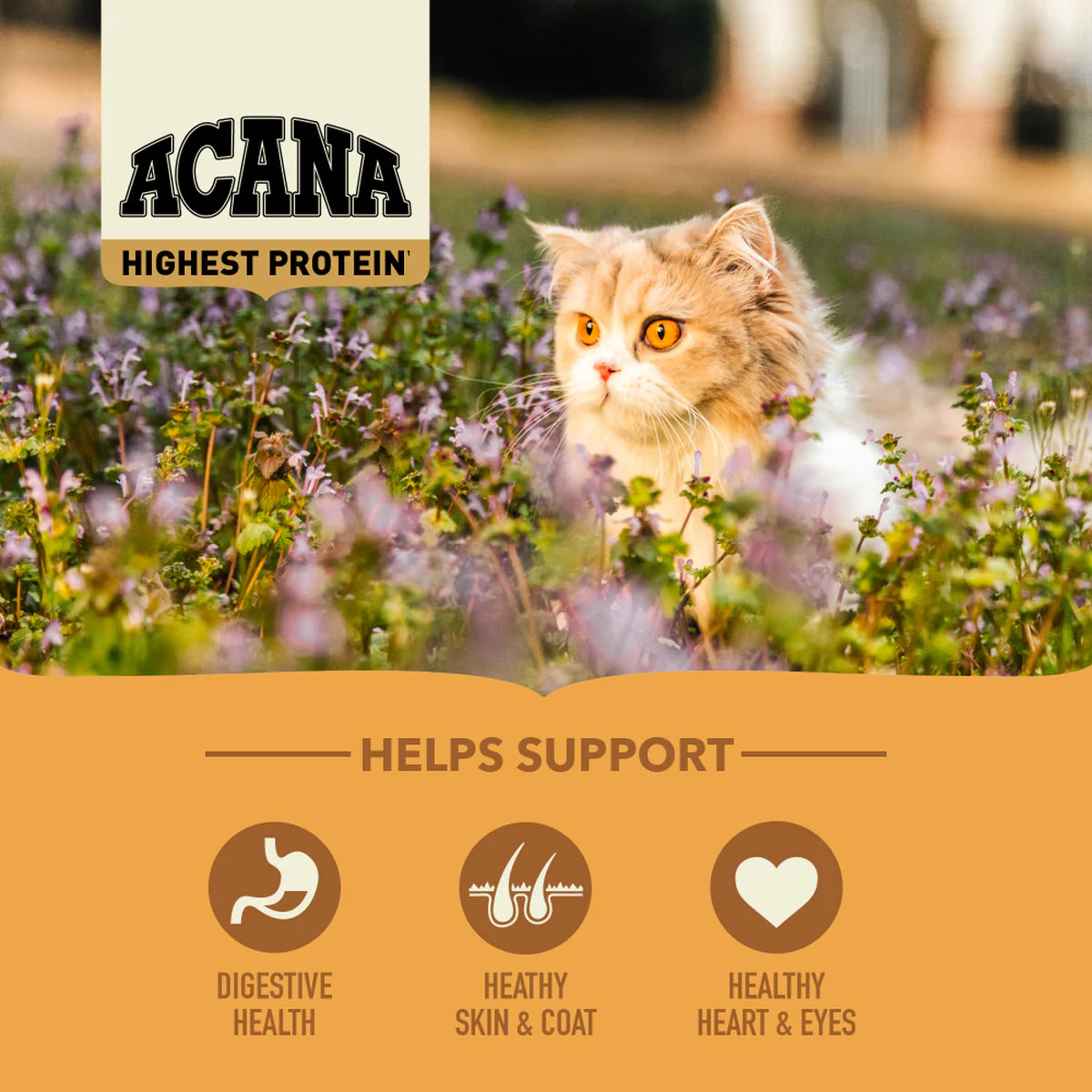 ACANA Highest Protein Wild Prairie Cat Food