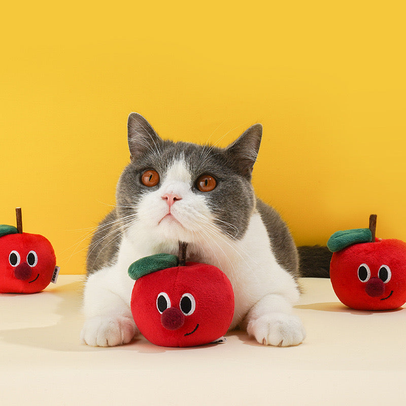 Apple Catnip Toy