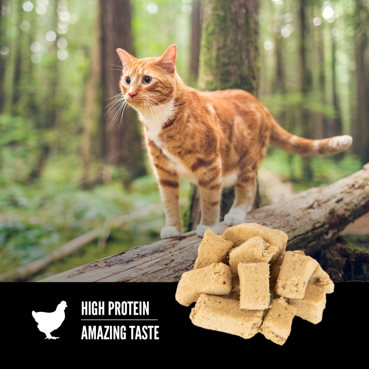 ORIJEN Original Freeze-Dried Cat Treats 35g