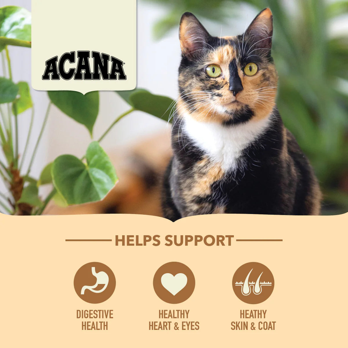 ACANA Homestead Harvest Cat Food