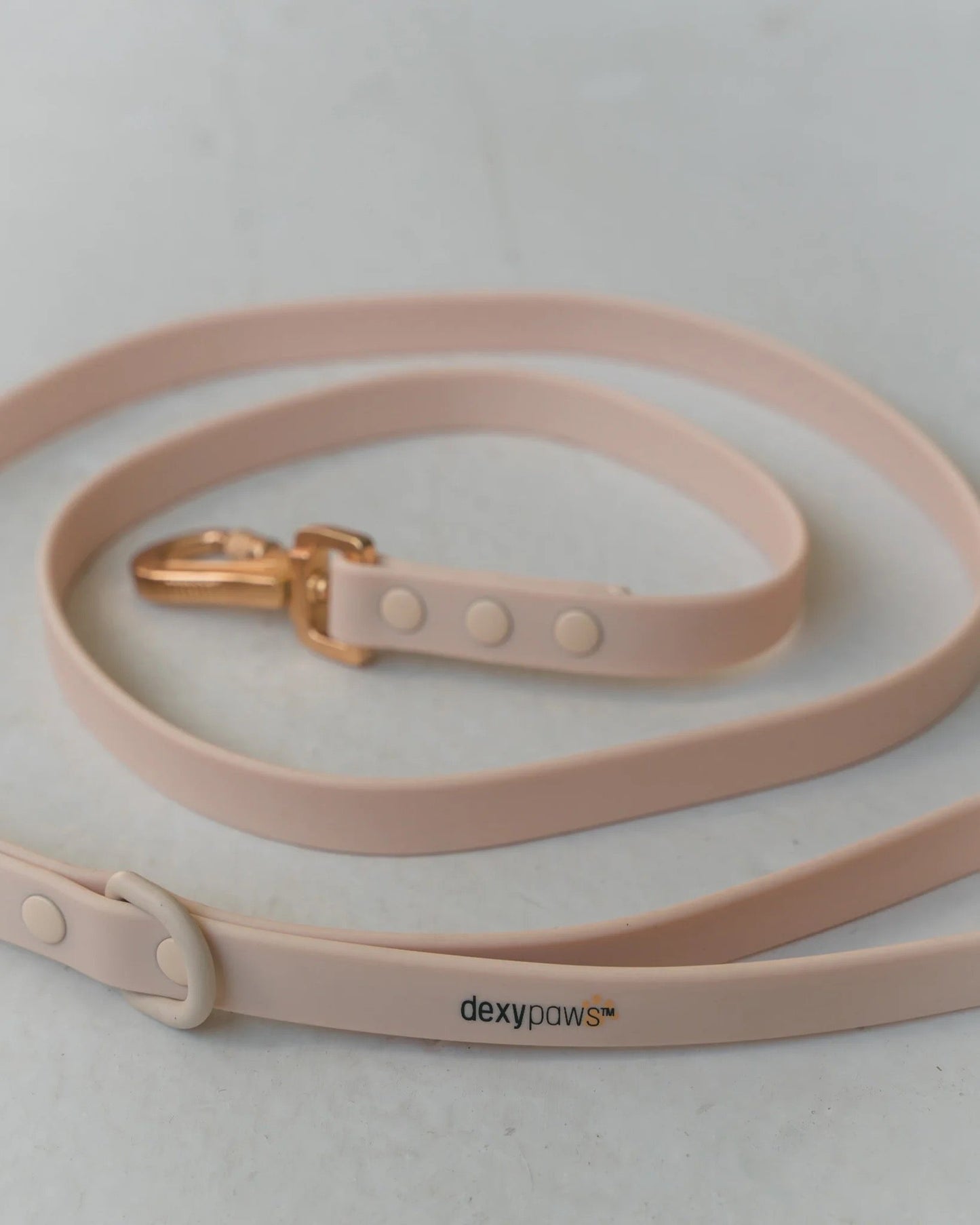 Dexypaws Waterproof Dog Leash in Nude