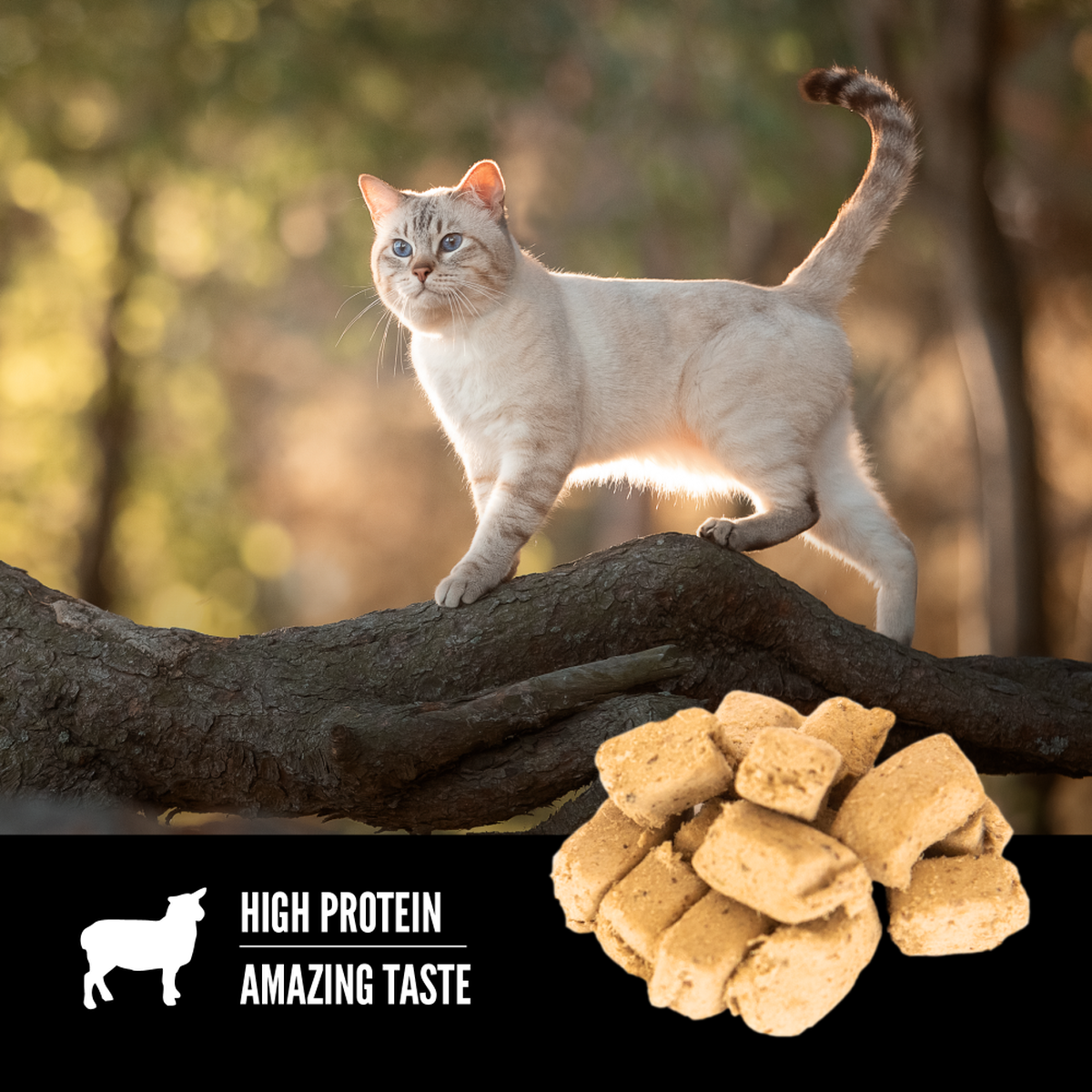 ORIJEN Grass-Fed Lamb Formula Freeze-Dried Cat Treats 35g