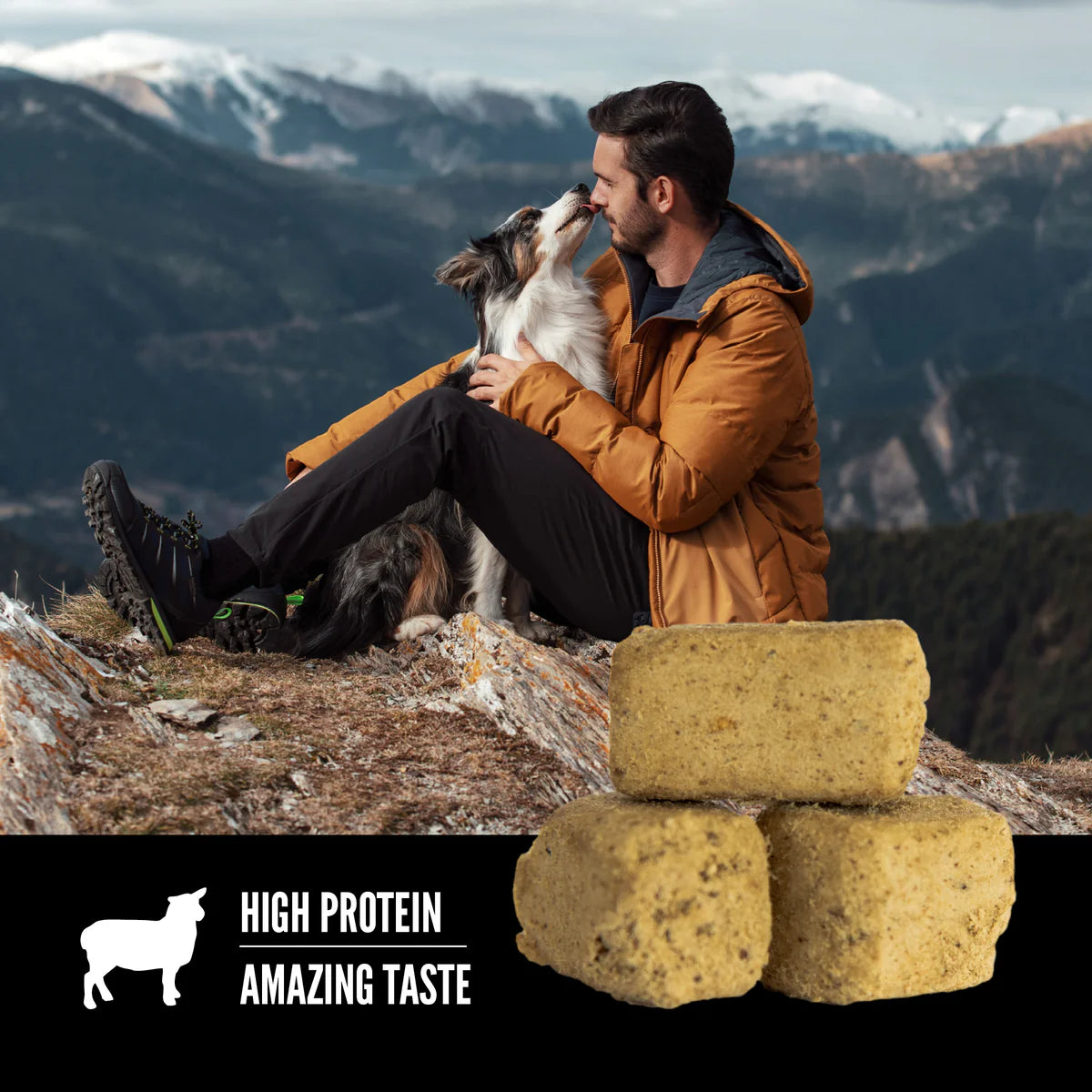 ORIJEN Lamb Freeze-Dried Dog Treats