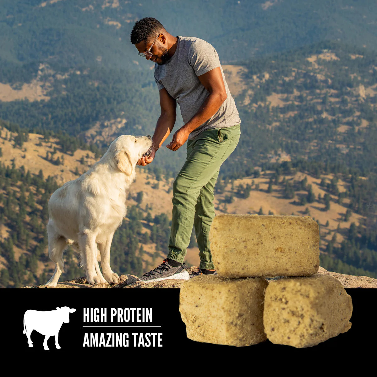 ORIJEN Regional Red Freeze-Dried Dog Treats