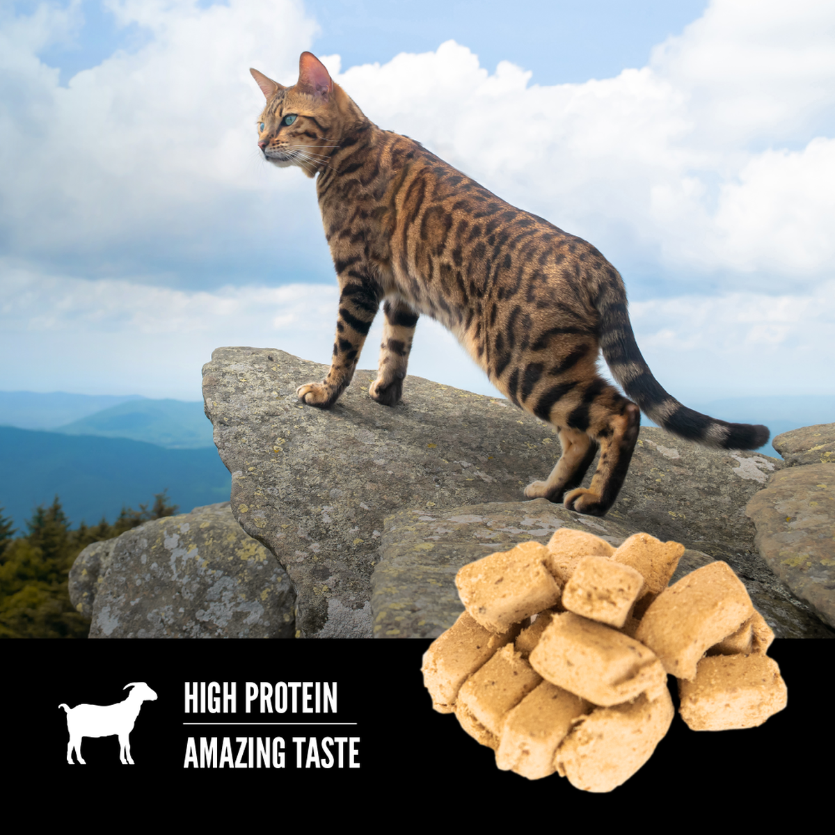 ORIJEN Tundra Freeze-Dried Cat Treats 35g