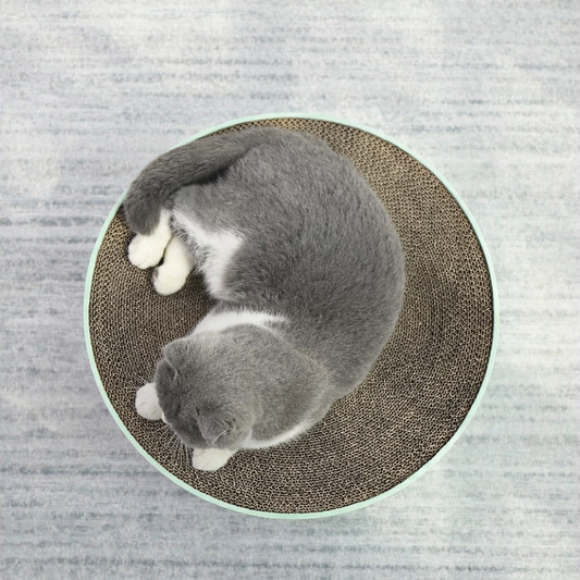 Cactus Round Scratcher