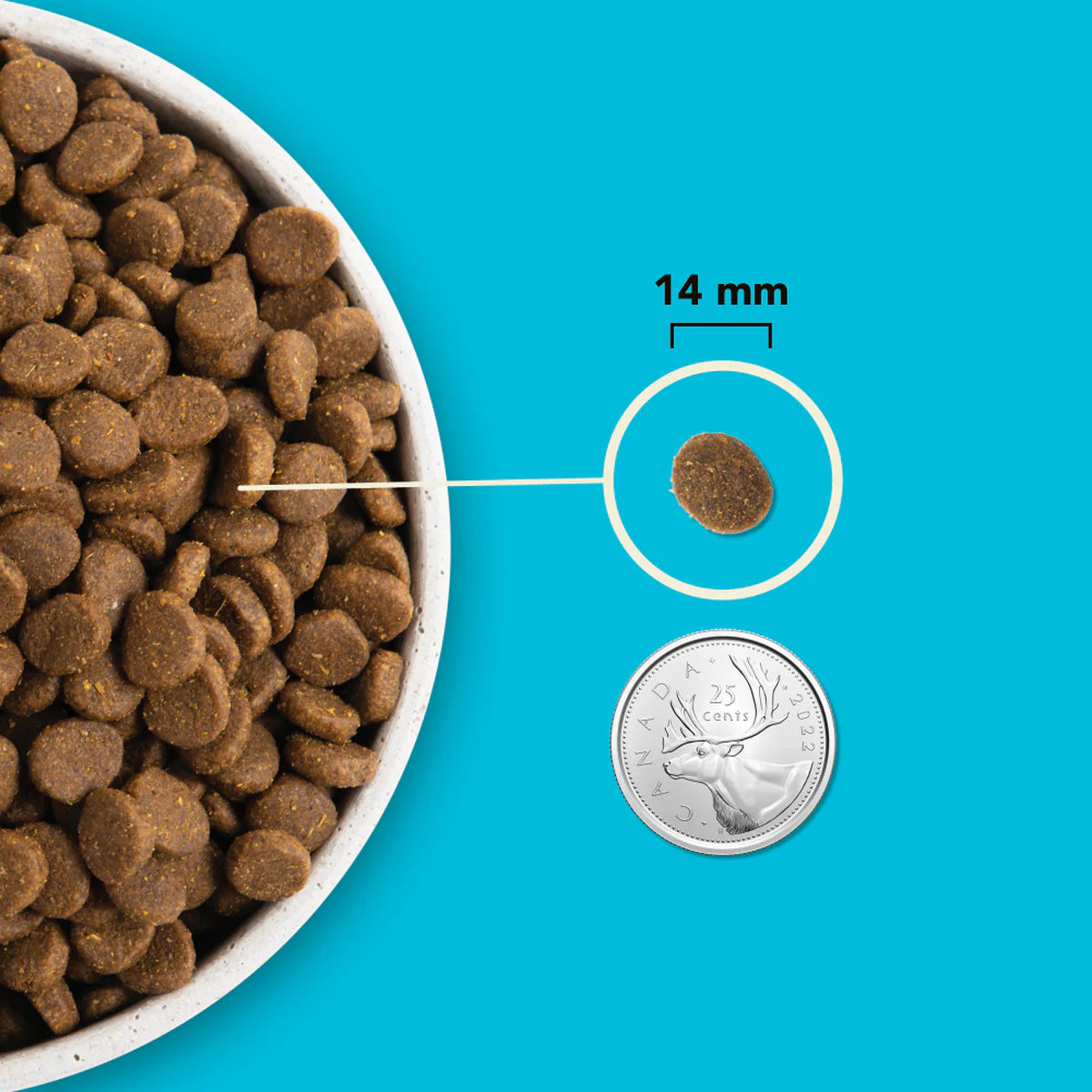 ACANA Highest Protein Pacifica Recipe Dog Food