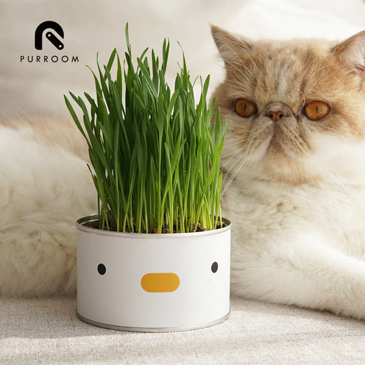 Cat Grass Can