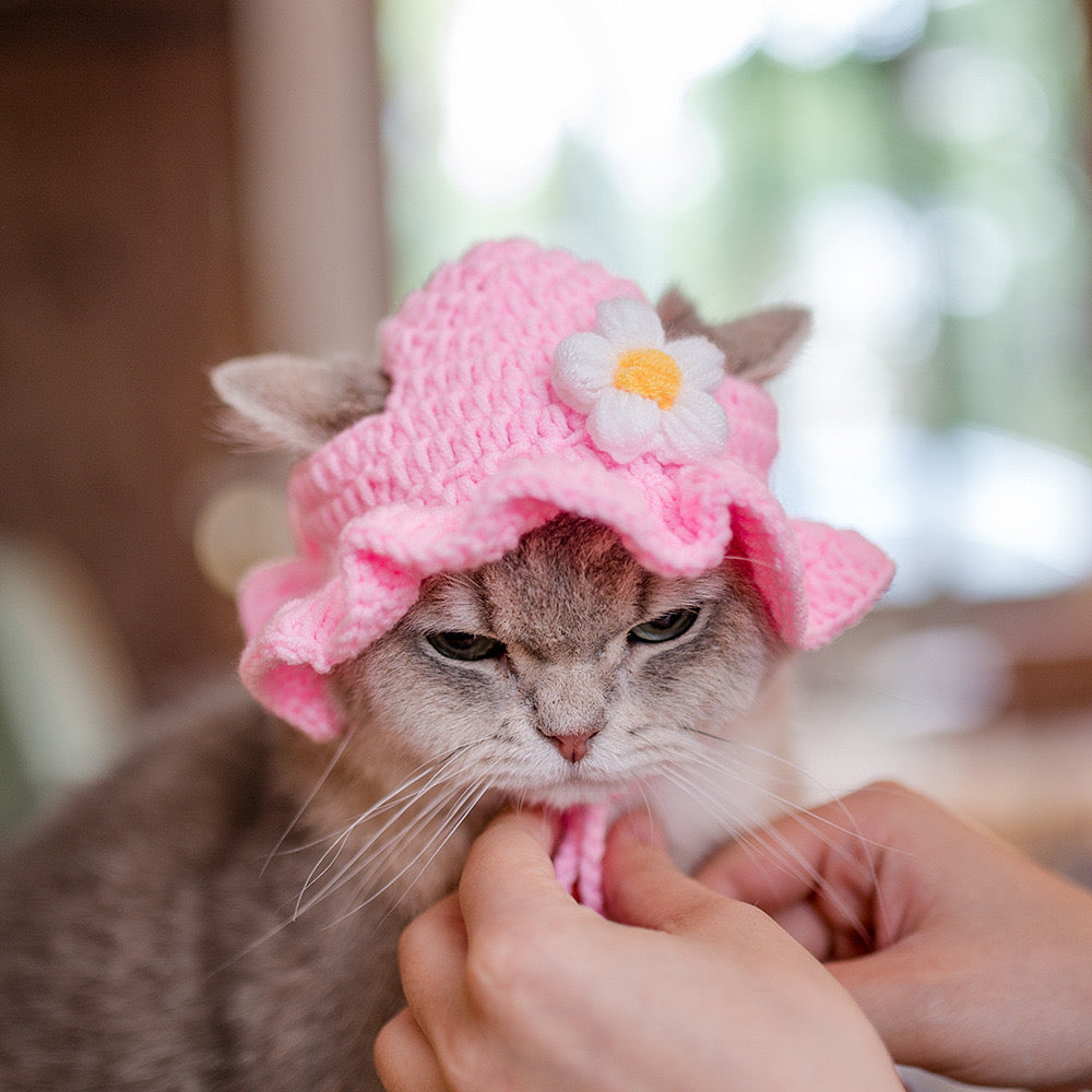Crochet Hats for Cats