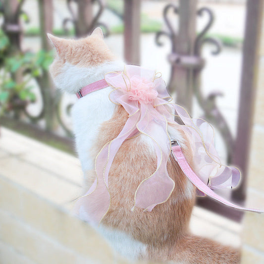 Cat Leash 1