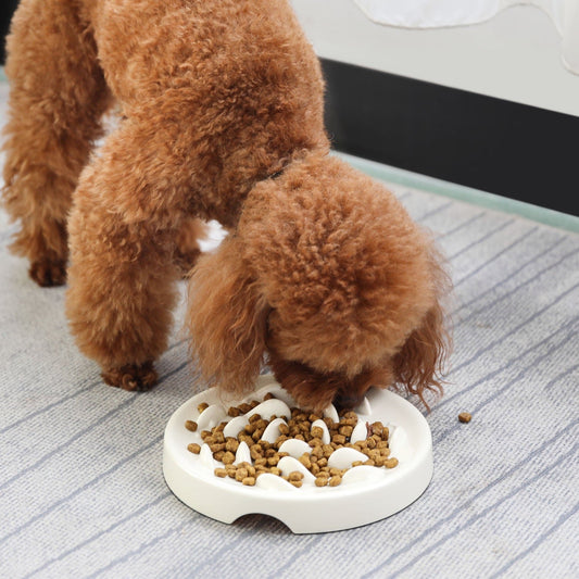 Goldfish Slow Feeder Bowl