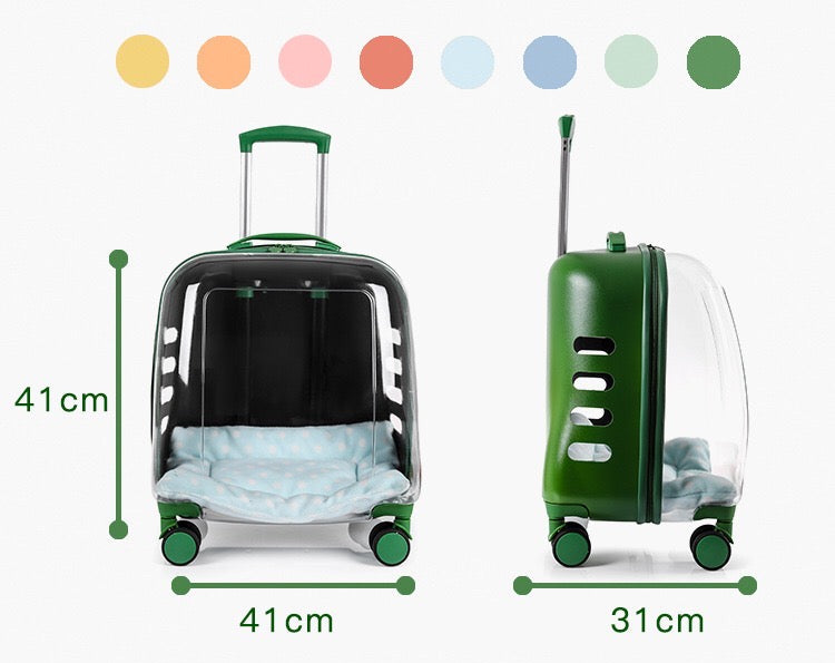 Large Transparent Trolley Suitcase