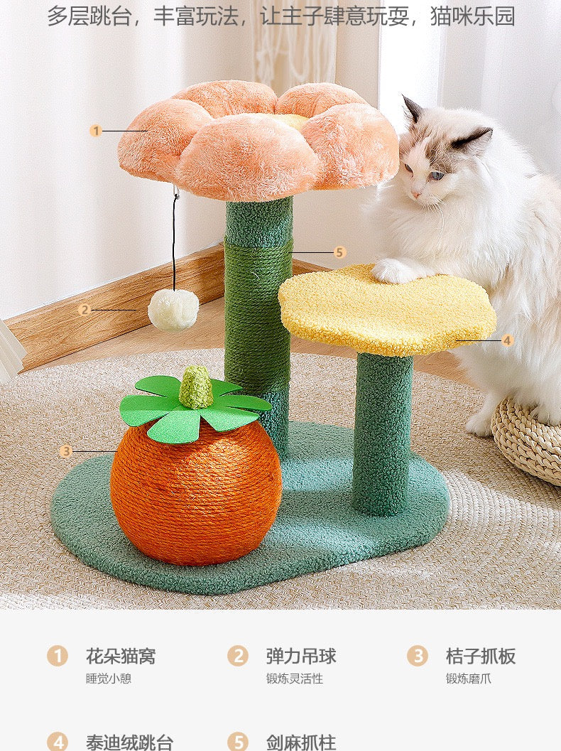 Ripe Orange Cat Tree
