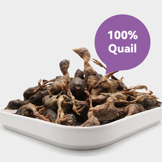 RANOVA Freeze-Dried Quail Cat Treat 40g