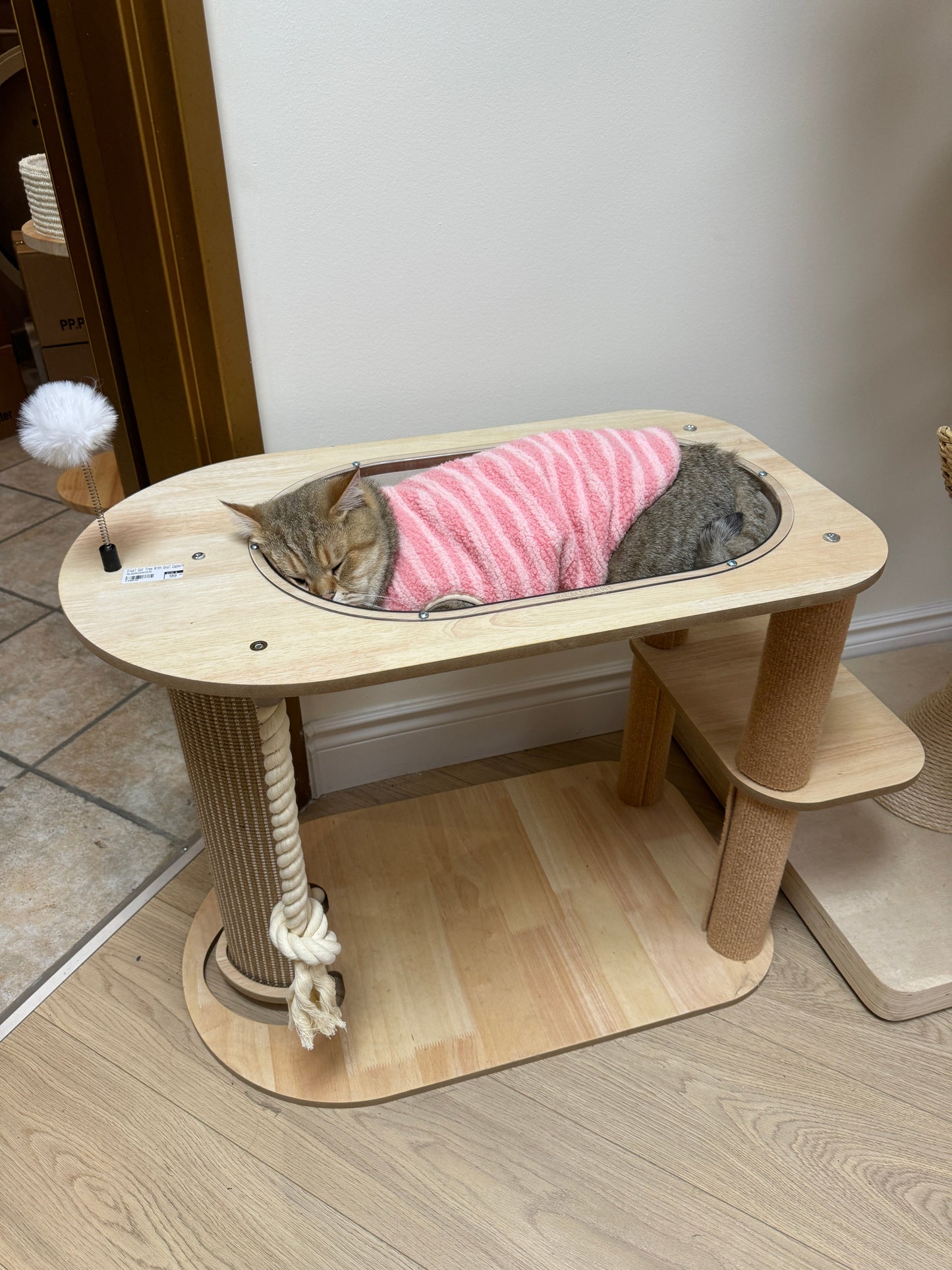 MIAOFAIRY Runway Cat Climbing Frame