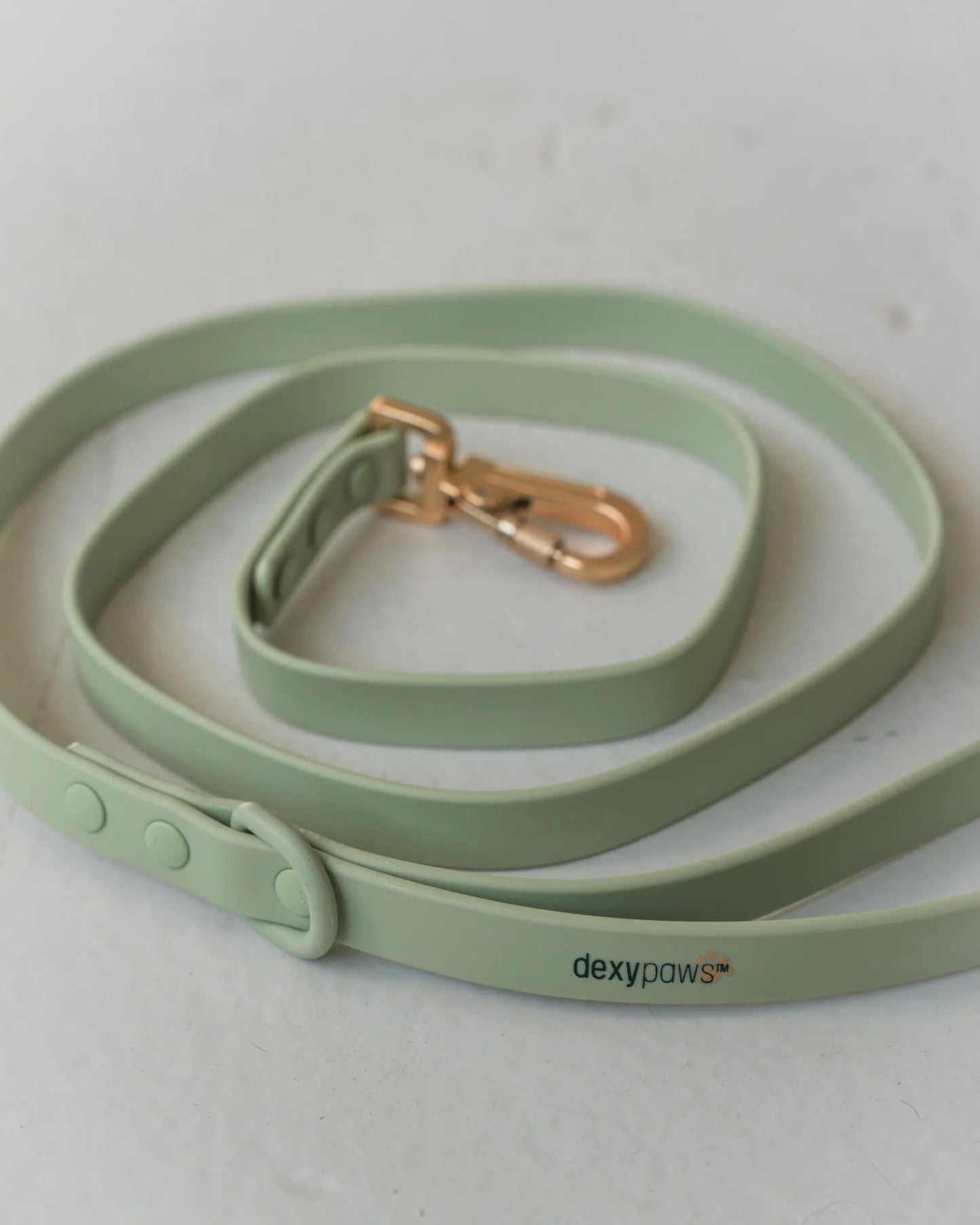 Dexypaws Waterproof Dog Leash in Sage Green