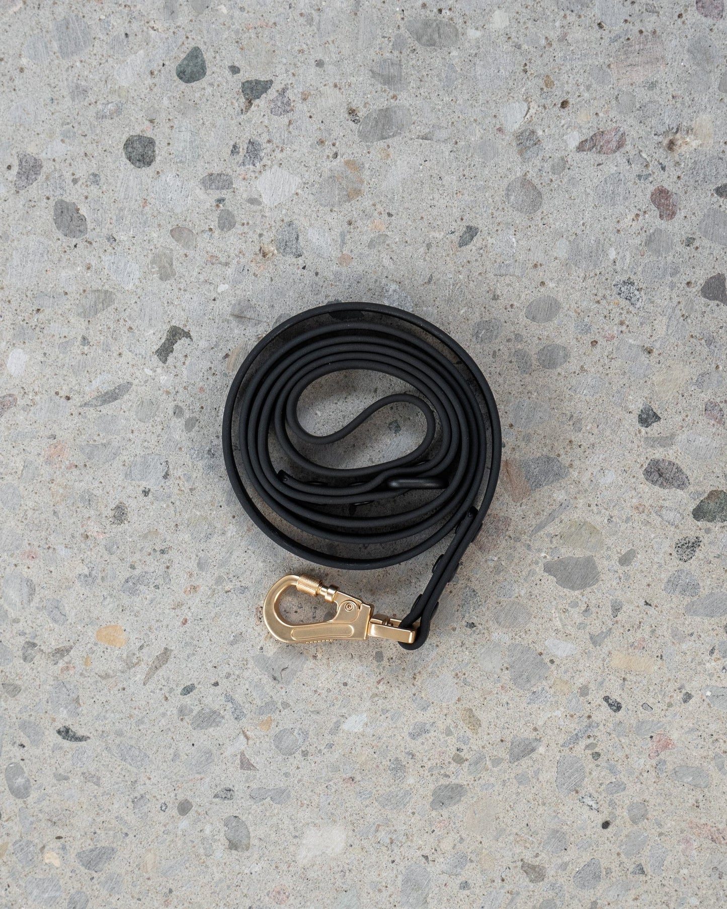Dexypaws Waterproof Dog Leash in Black