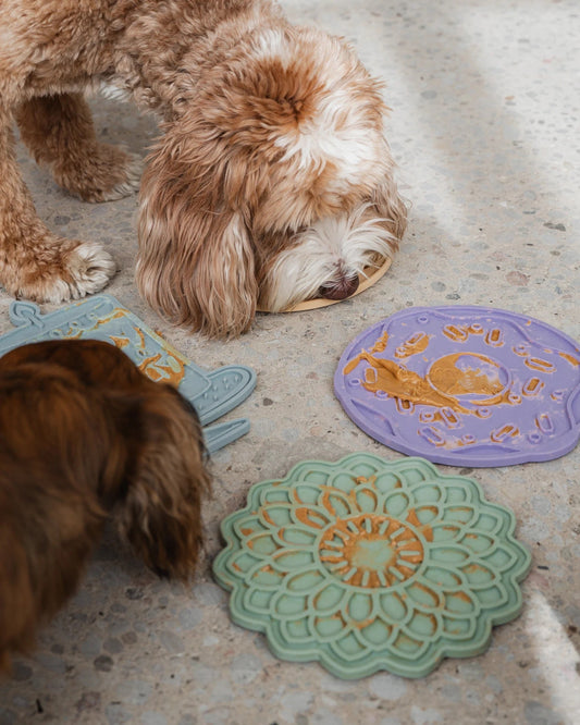 Dexypaws Donut Delight Enrichment Lick Mat