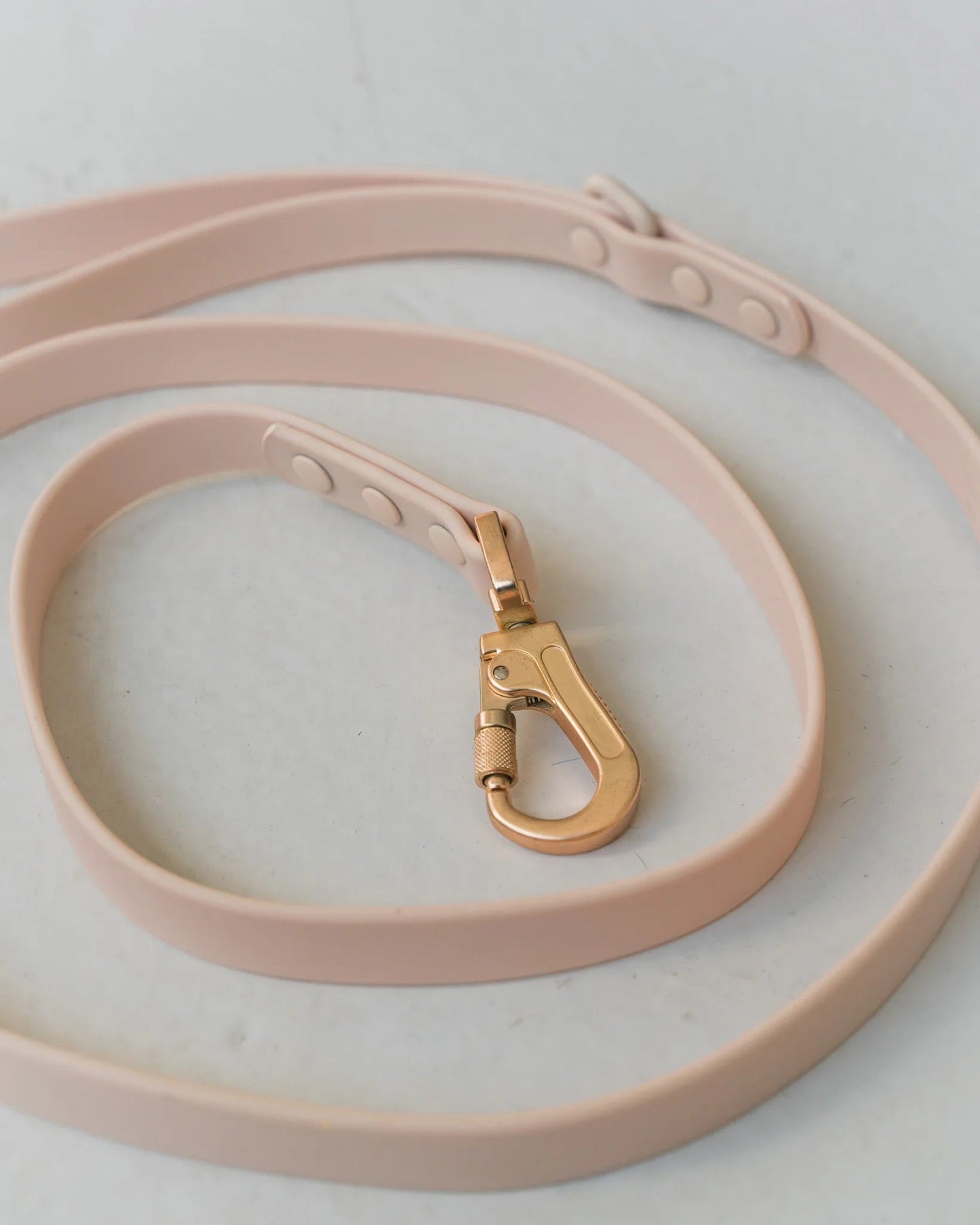 Dexypaws Waterproof Dog Leash in Nude