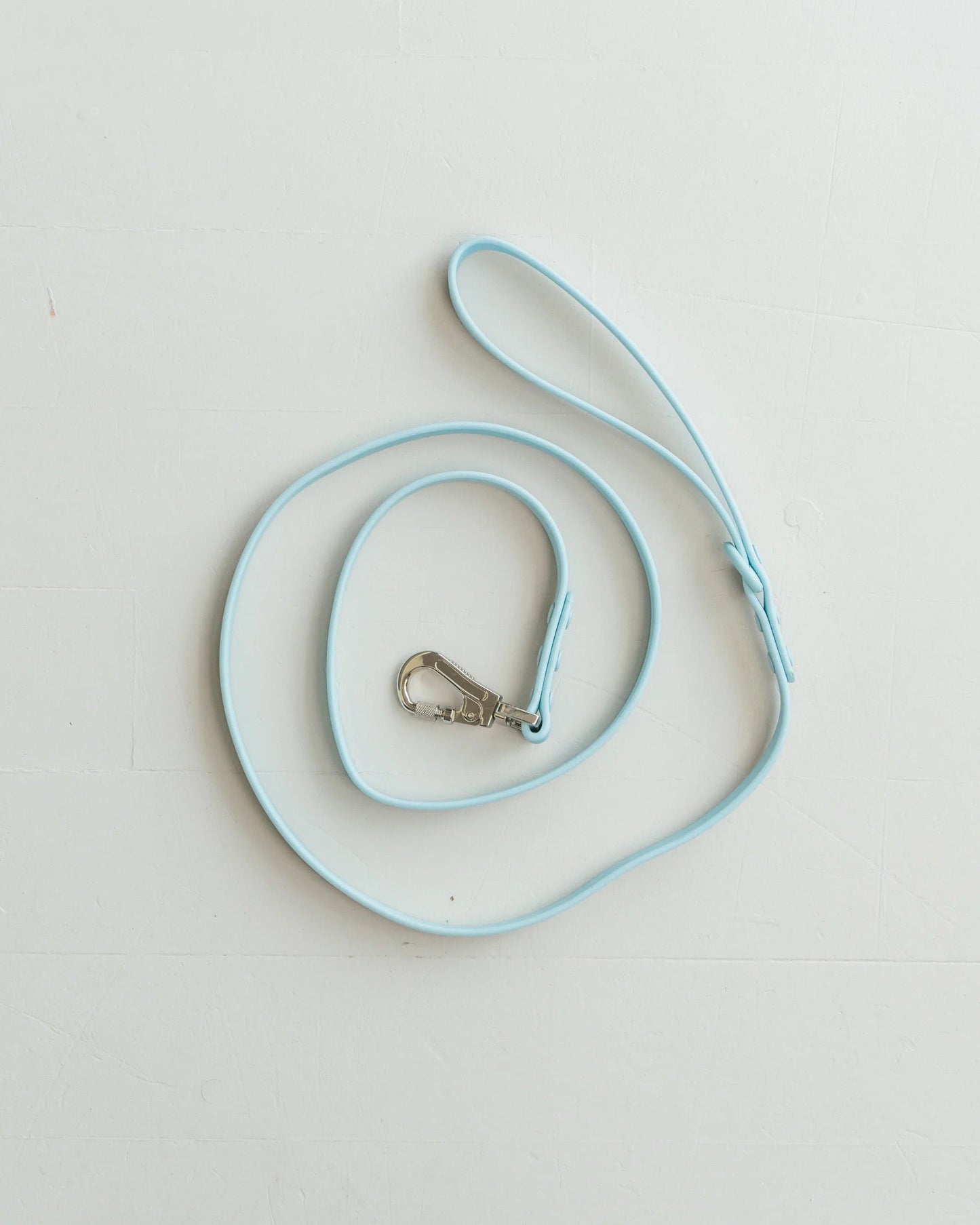 Dexypaws Waterproof Dog Leash in Sky Blue