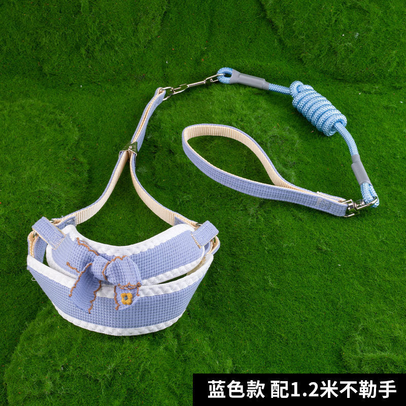 Colors Of Spring Leash