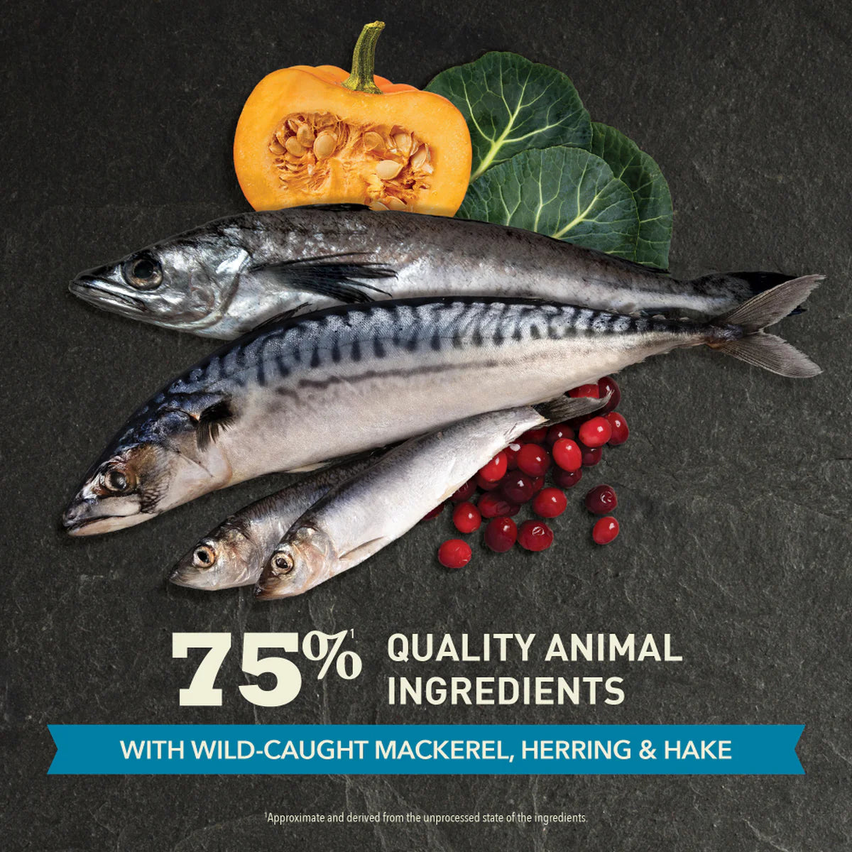ACANA Highest Protein Pacifica Cat Food