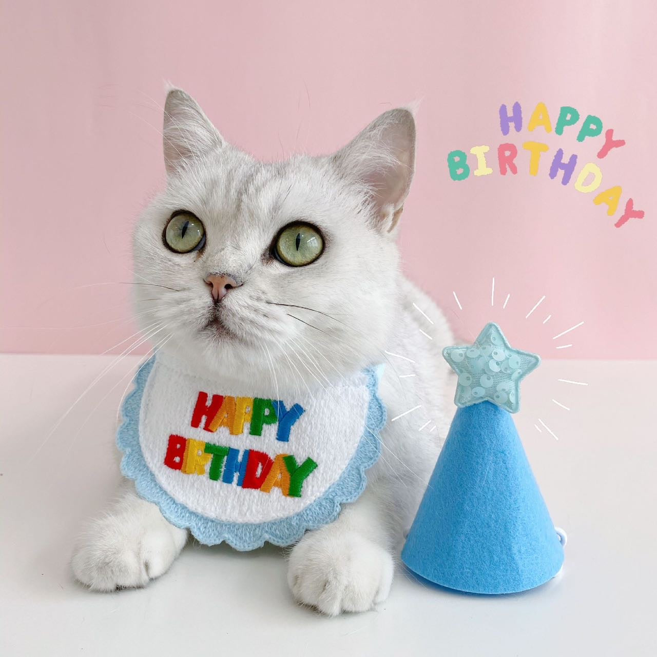 Happy Birthday Bib With Star Hat