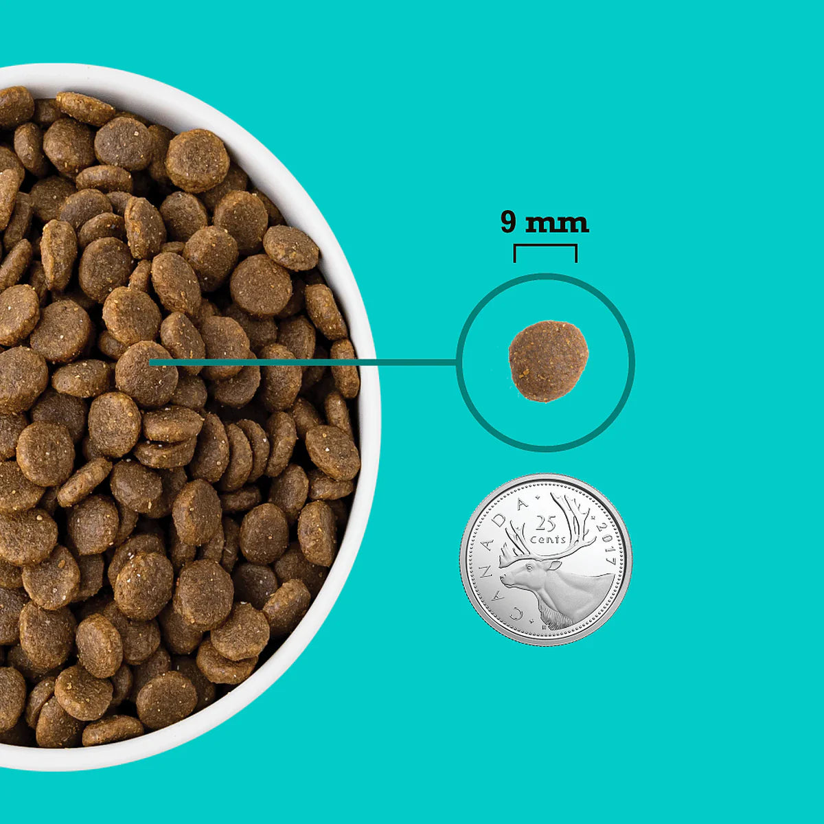 ACANA Healthy Grains Sea & Farm Recipe Puppy Dog Food