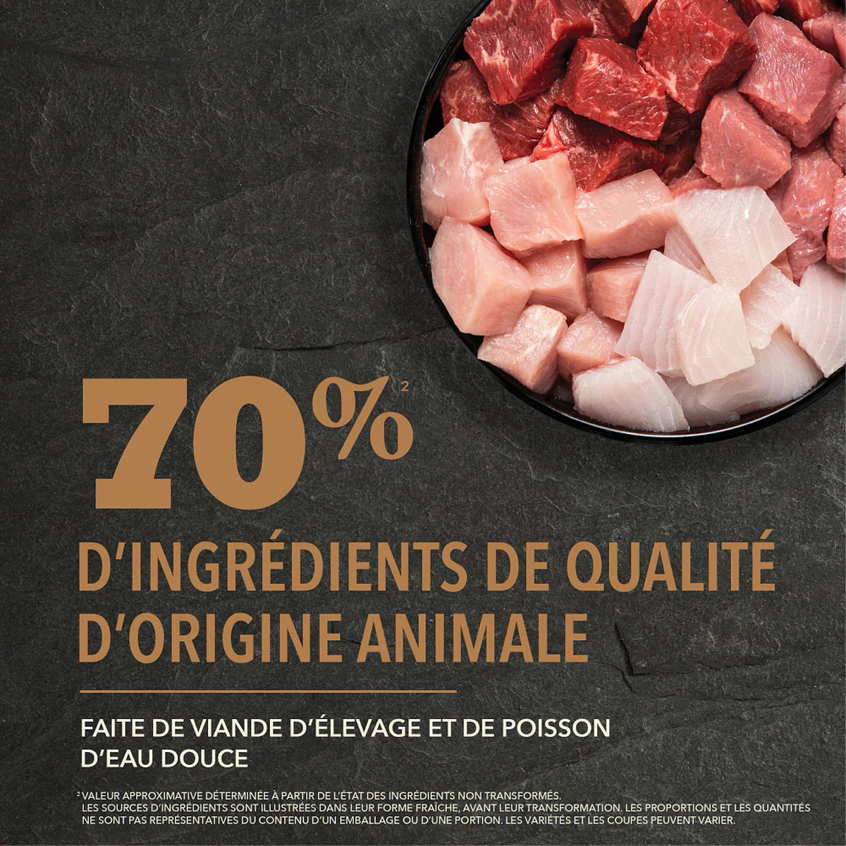 ACANA Highest Protein Ranchlands Recipe Dog Food