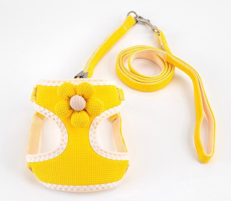 Sunflower Leash