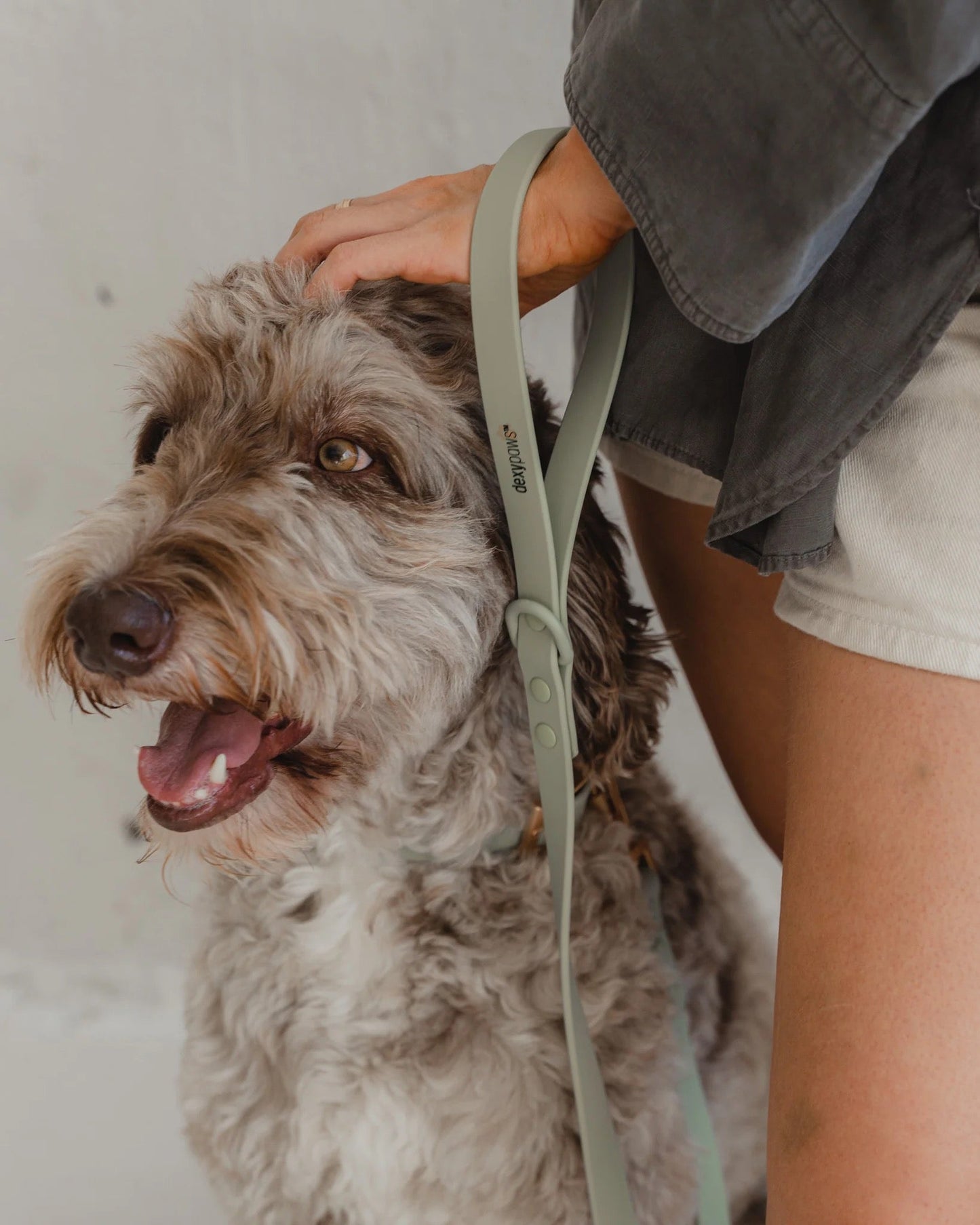 Dexypaws Waterproof Dog Leash in Sage Green