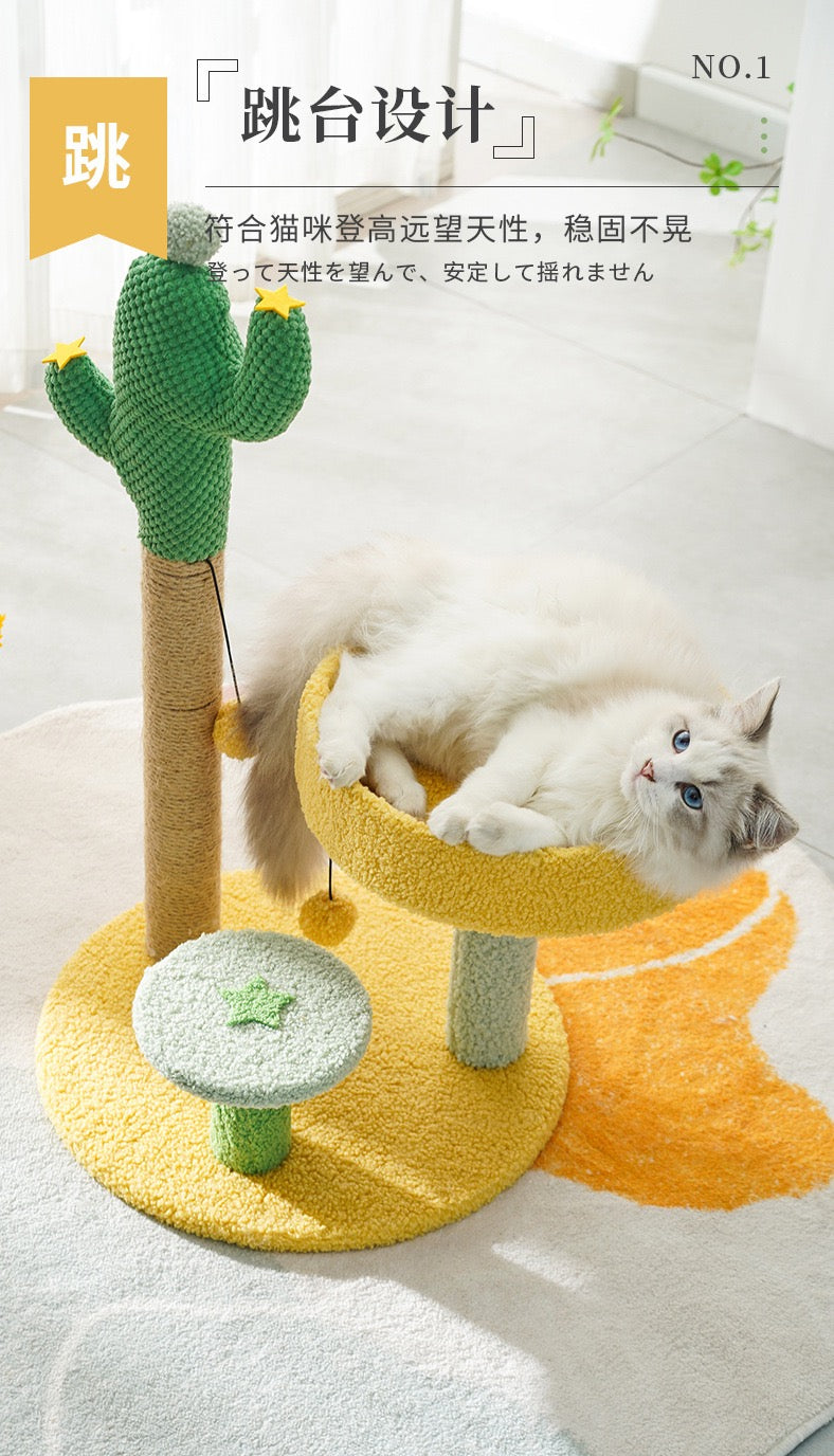 Funny Cactus Climbing Rack