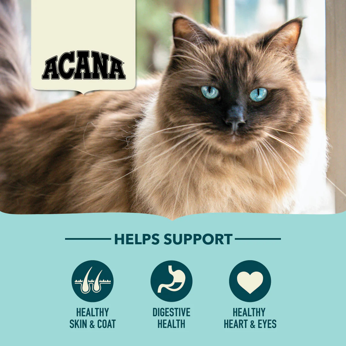 ACANA Bountiful Catch Cat Food