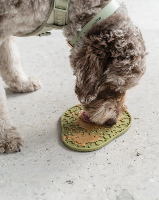 Dexypaws Avocado Enrichment Lick Mat