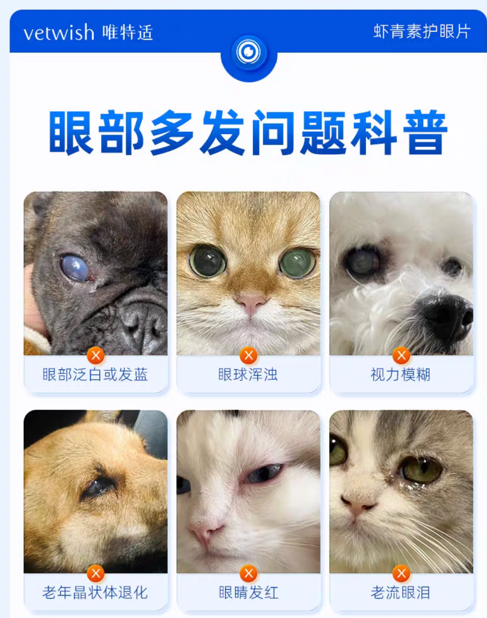Vetwish Eye&Vision for Cats and Dogs