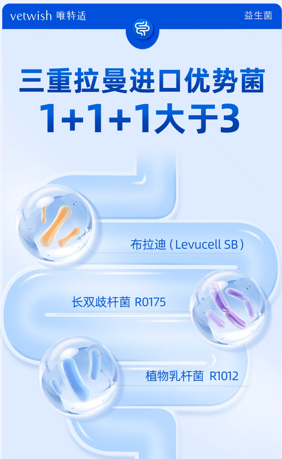 Vetwish Digestive Support