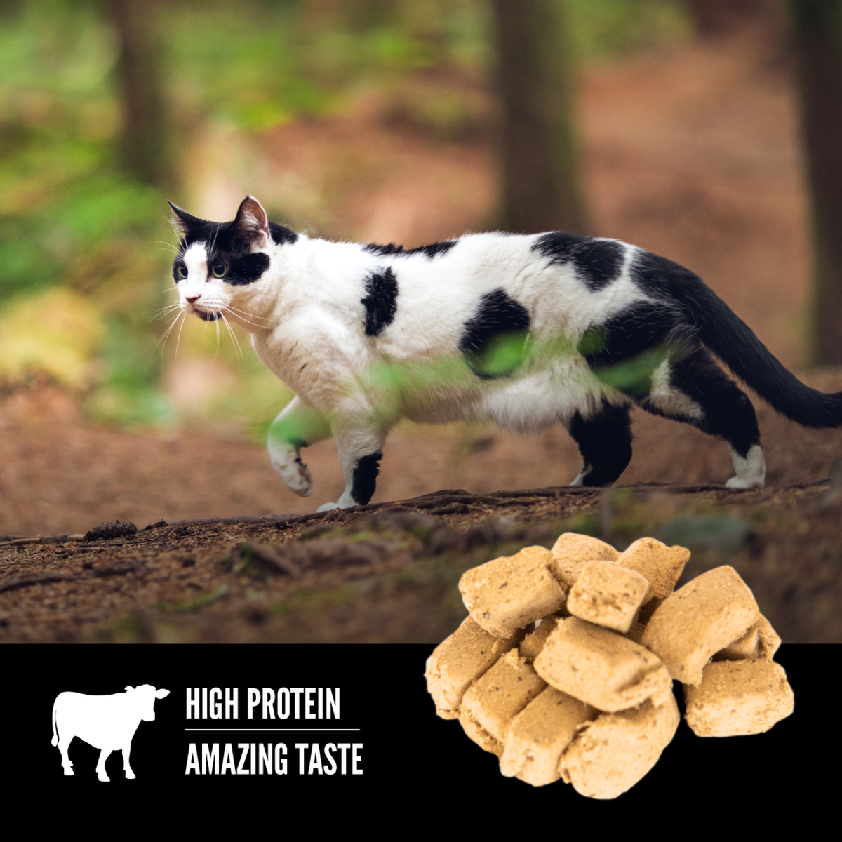 ORIJEN Regional Red Freeze-Dried Cat Treats 35g