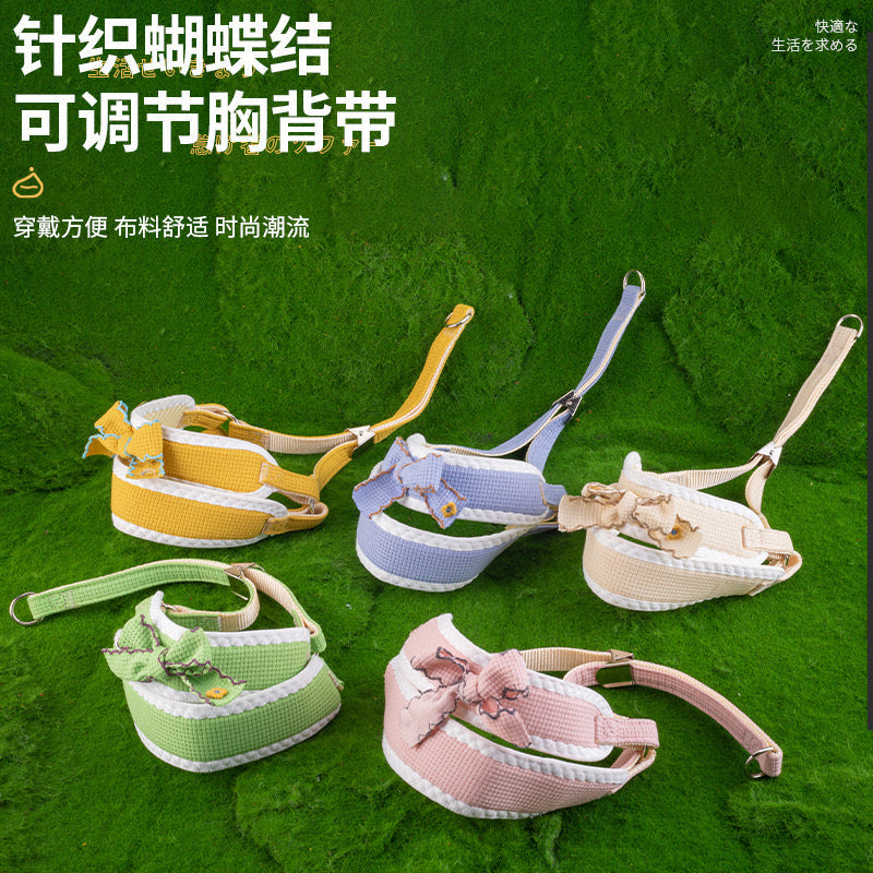 Colors Of Spring Leash