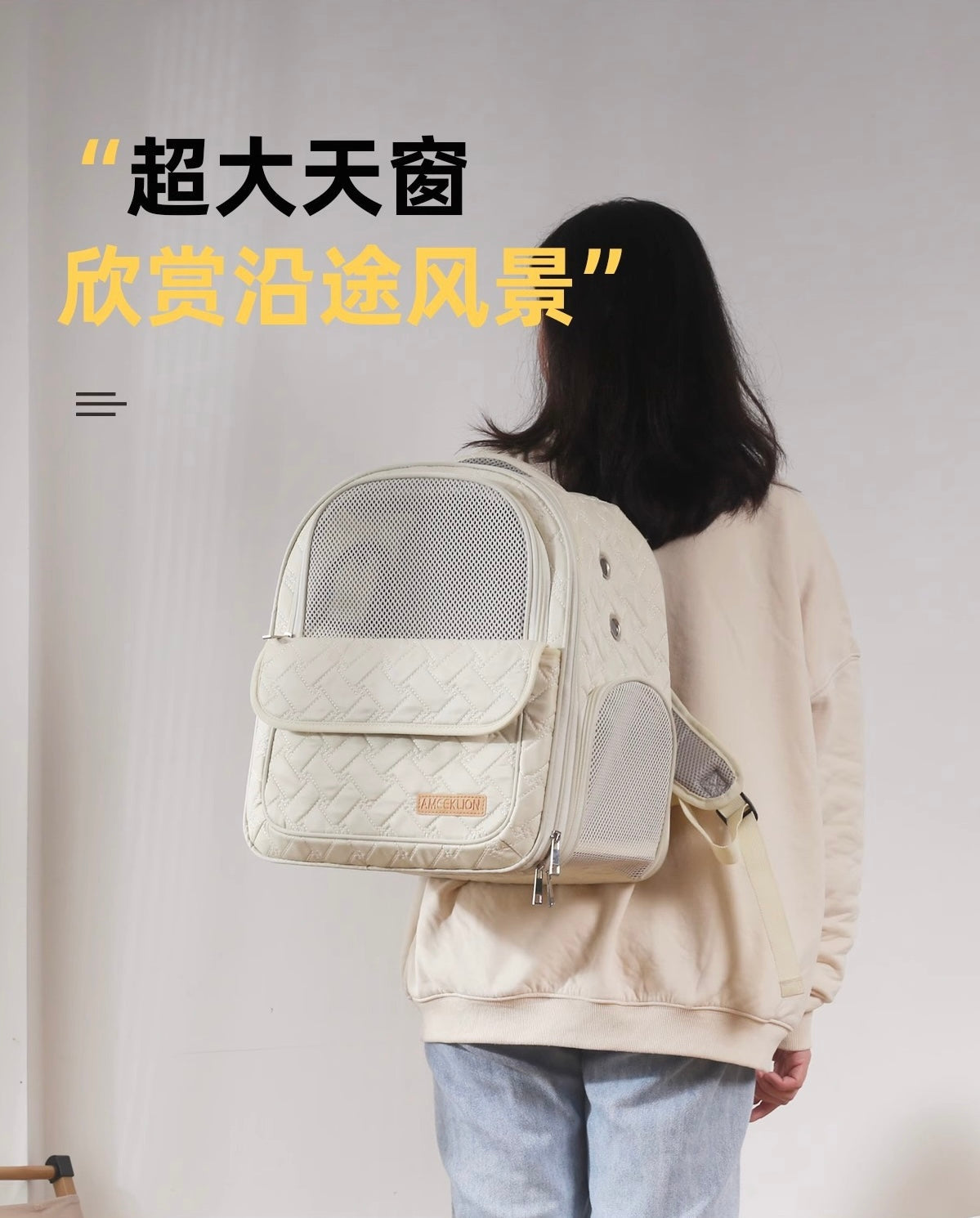 Ameeklion Pet Backpack