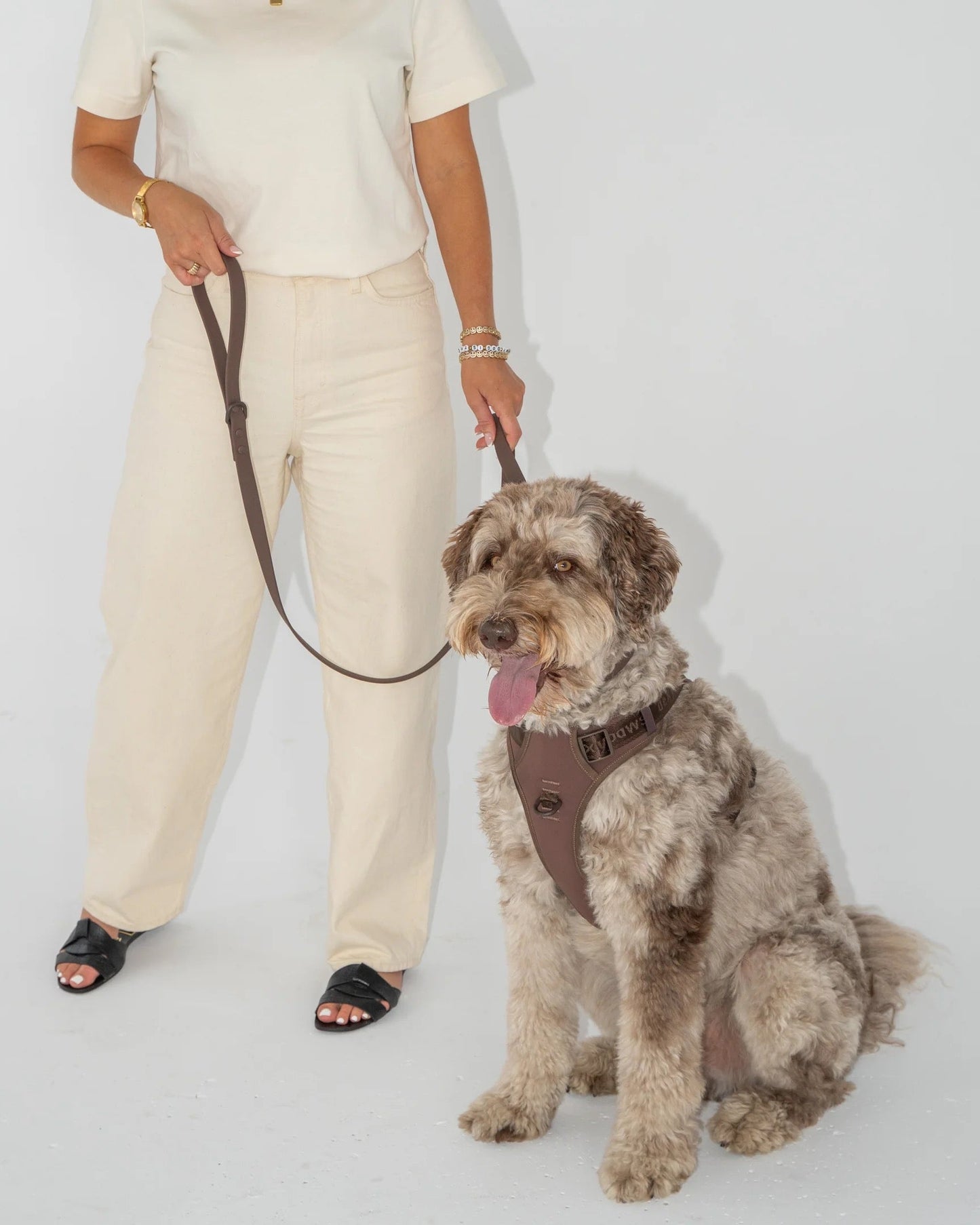 Dexypaws Waterproof Dog Leash in Espresso