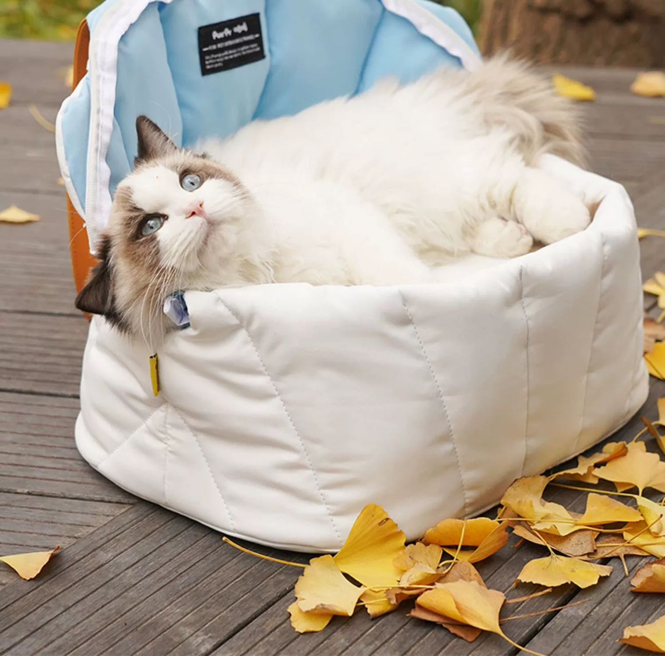 Purrpy Seashell Bag