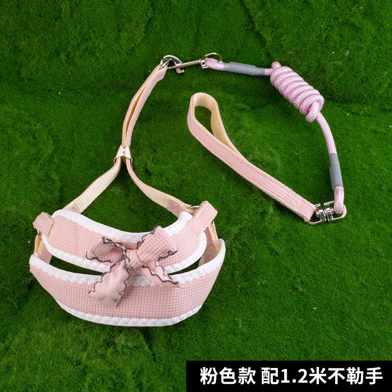 Colors Of Spring Leash