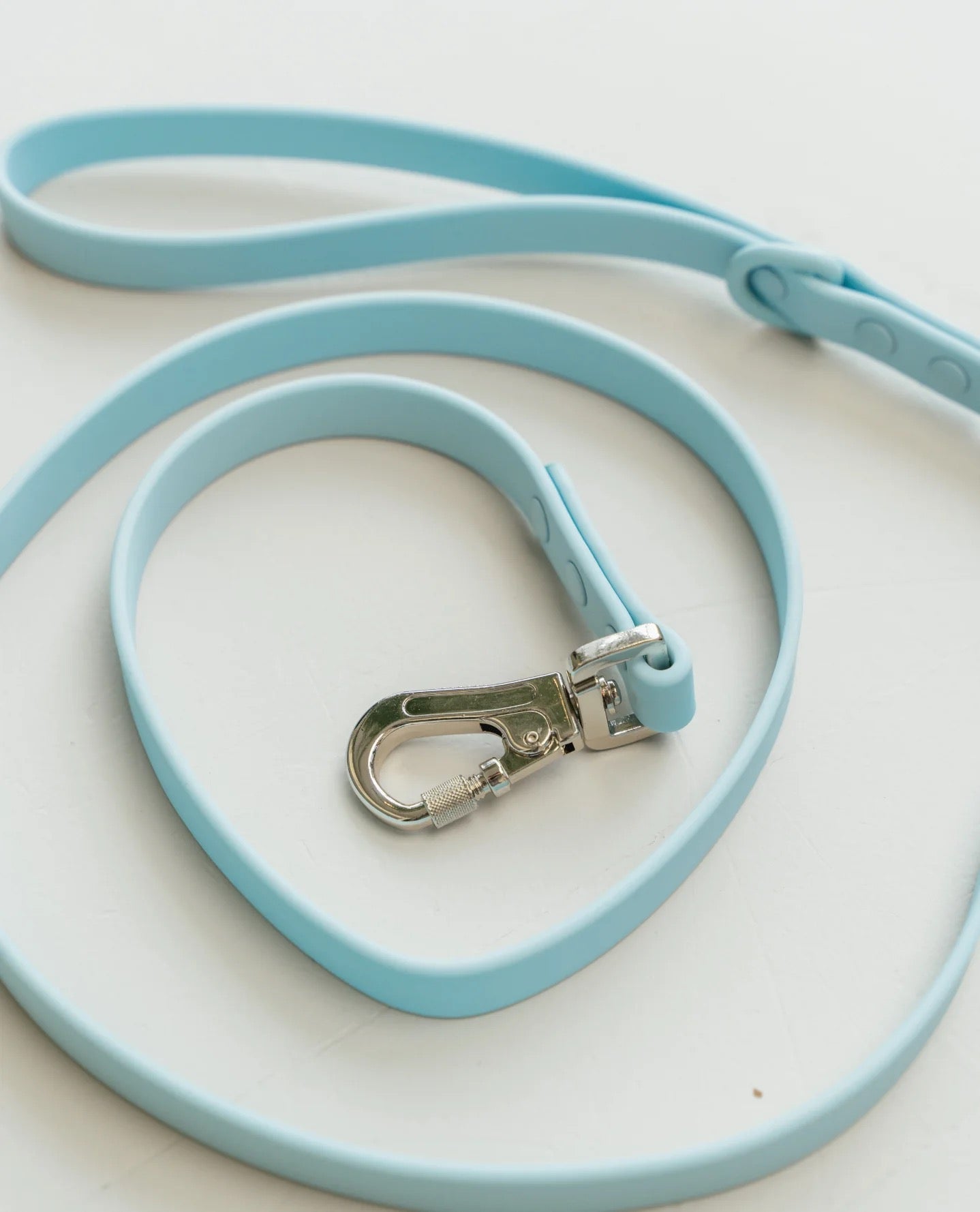 Dexypaws Waterproof Dog Leash in Sky Blue