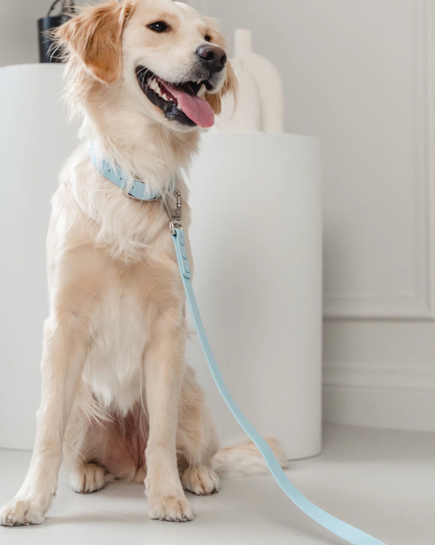 Dexypaws Waterproof Dog Collar in Sky Blue