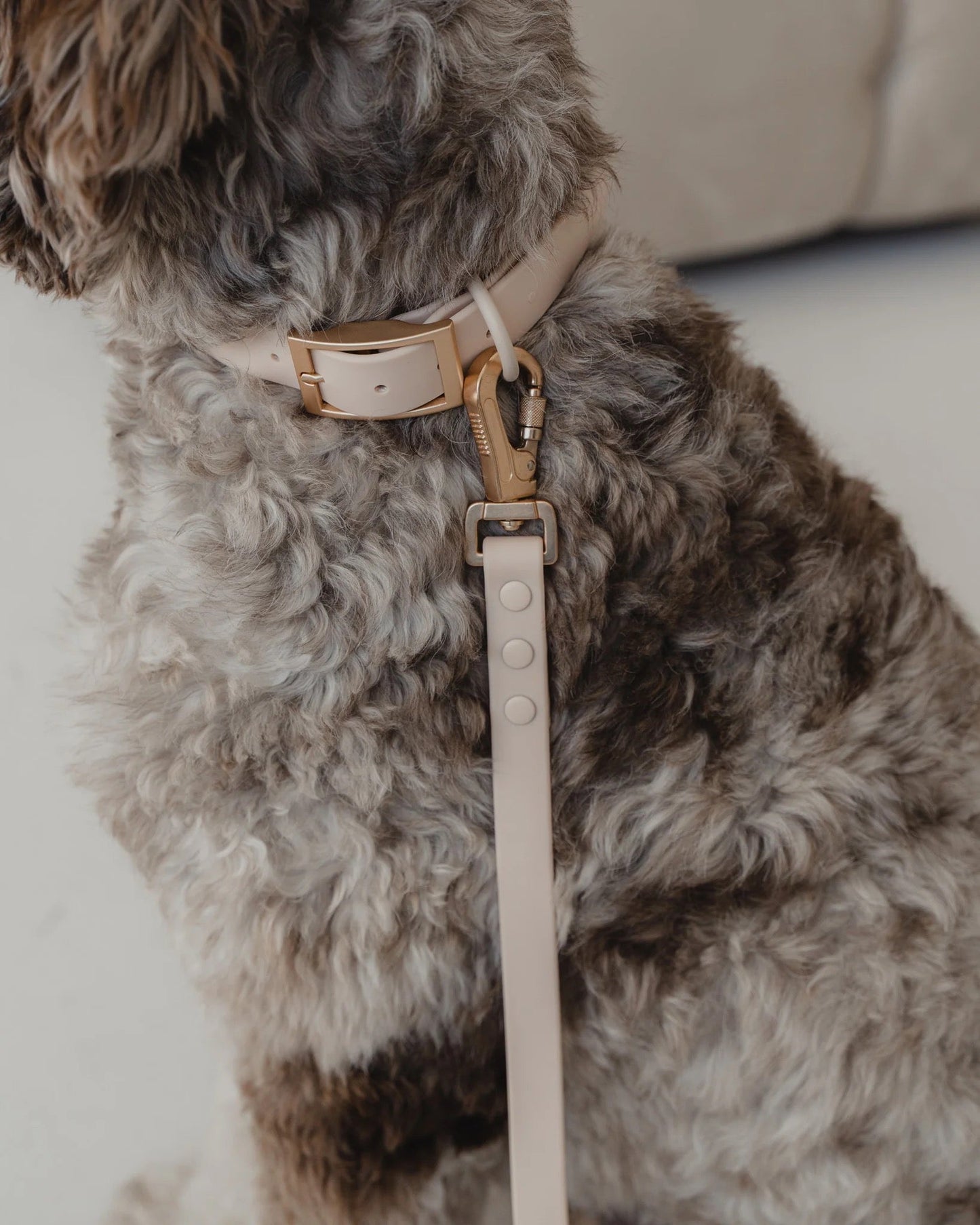 Dexypaws Waterproof Dog Collar in Nude