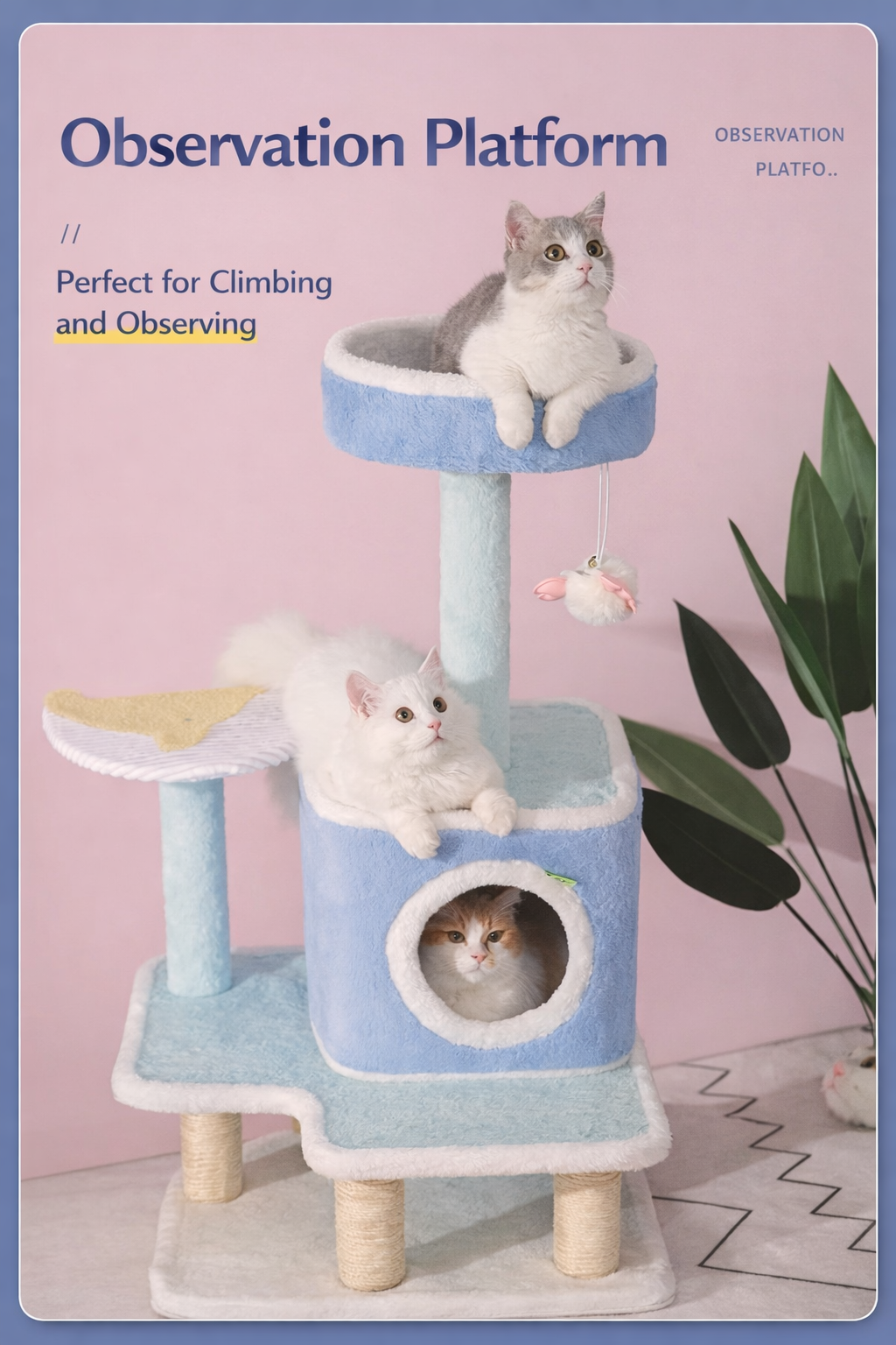 Colorful Sea Cat Tree
