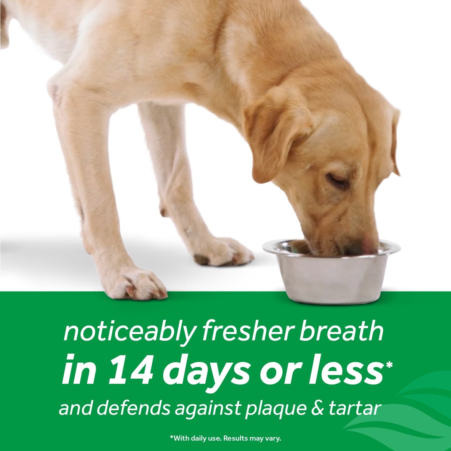 Tropiclean Fresh Breath Dental Health Solution For Dogs 1L
