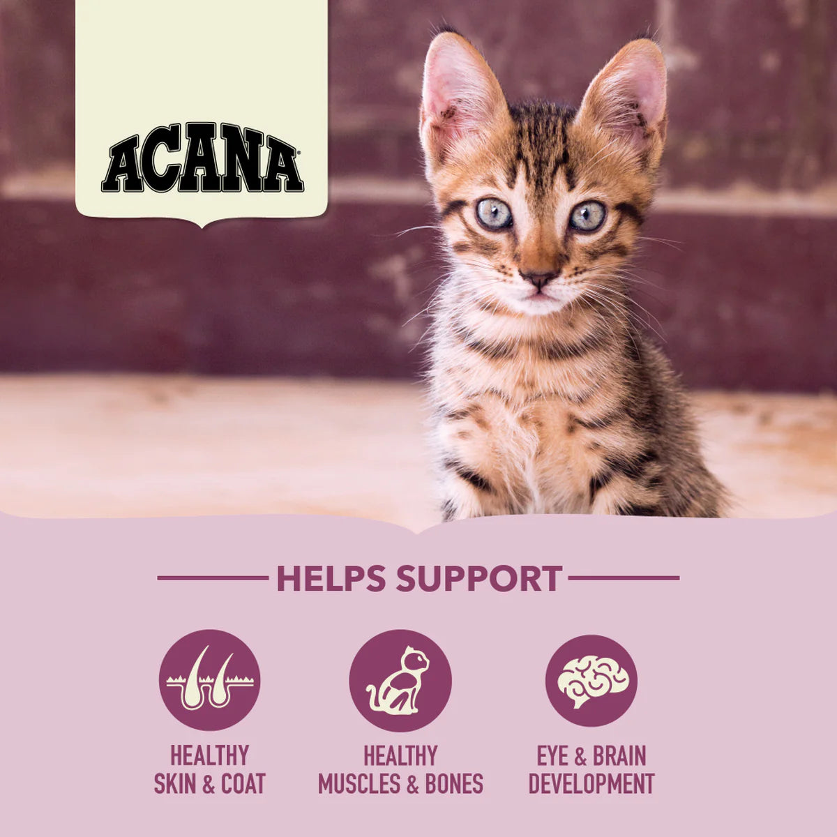 ACANA First Feast Cat Food 1.8kg