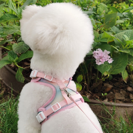 MAYCHAN Leash For Small Pets
