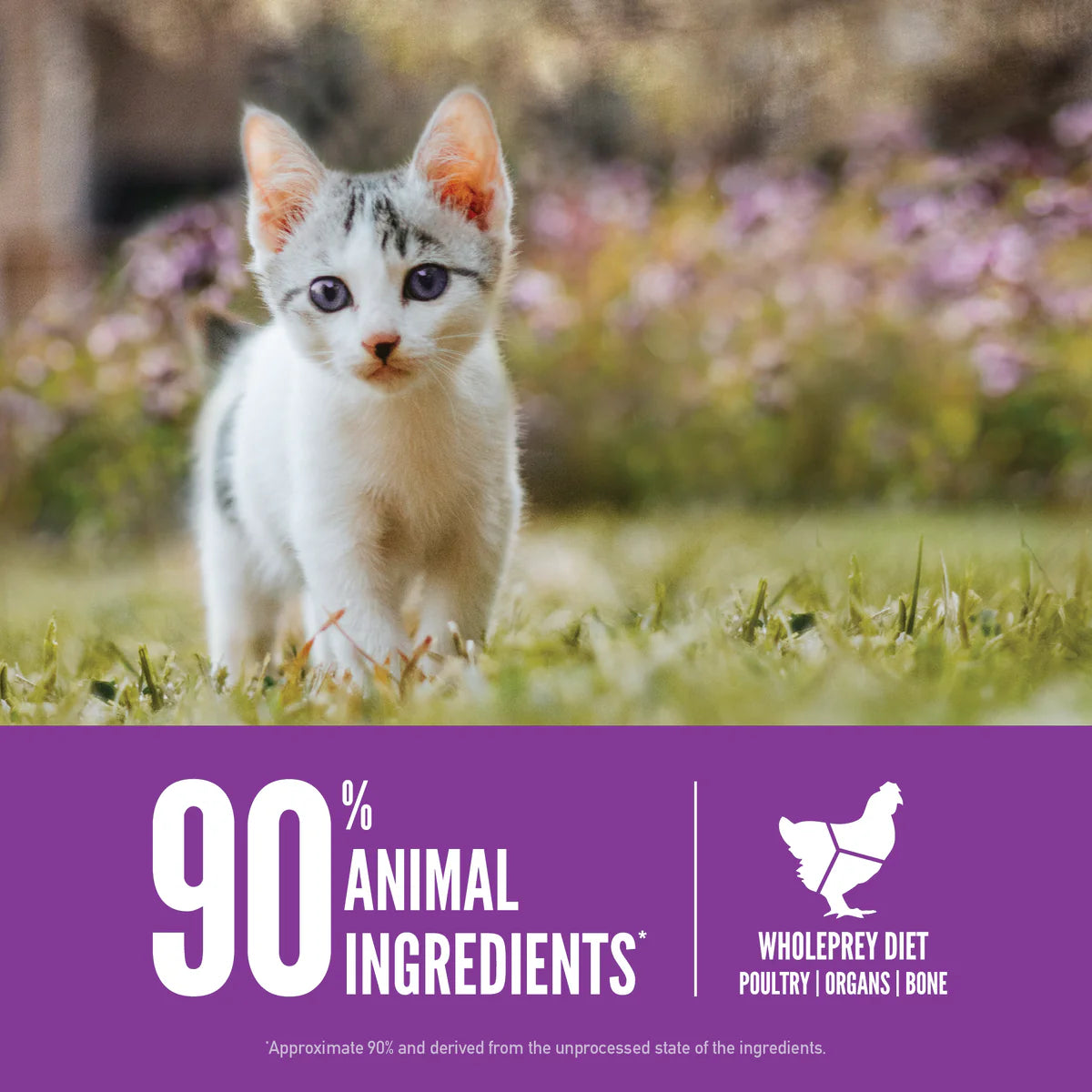 ORIJEN Kitten Cat Food 1.8kg